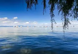 滇池猛虎队击败漠南猛虎队，拉力赛小组赛上演裁判判罚引热议！